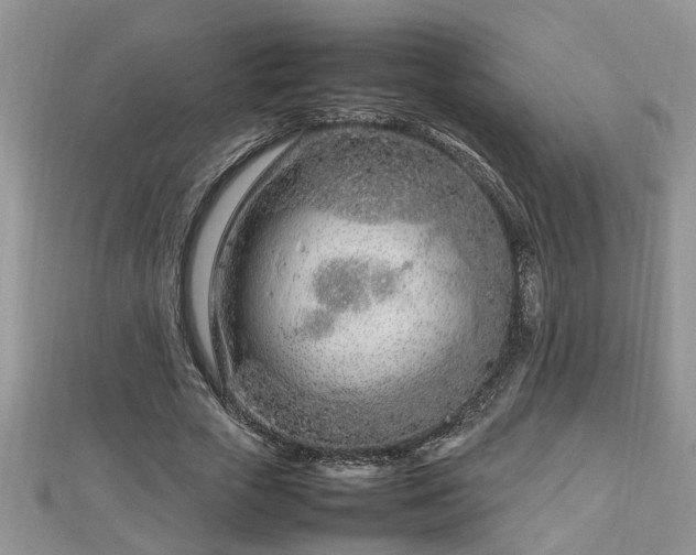 X0000112790729200908281506