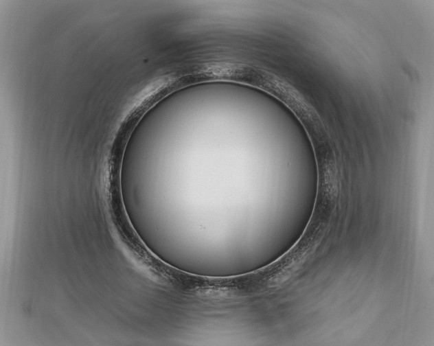 X0000112790730200908281506