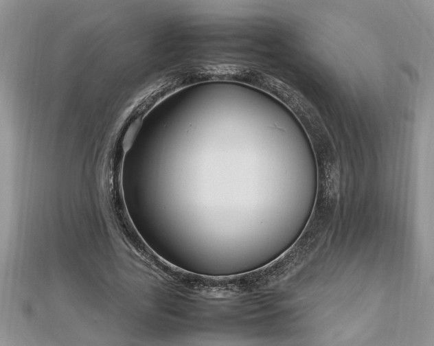 X0000112790731200908281506