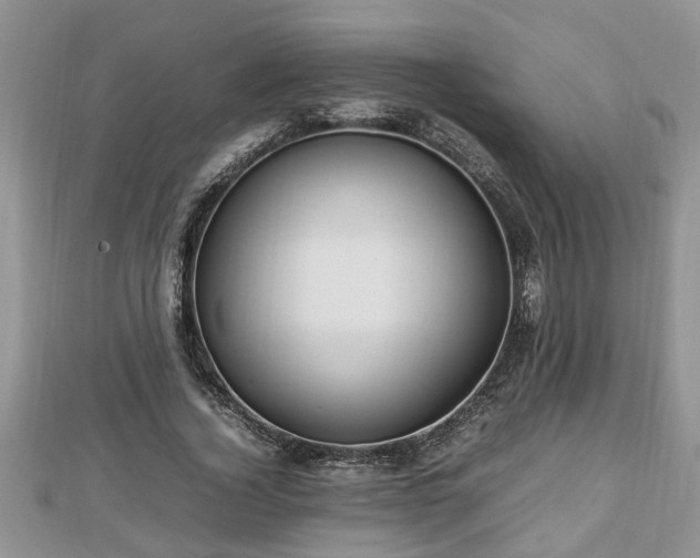 X0000112790732200908281506