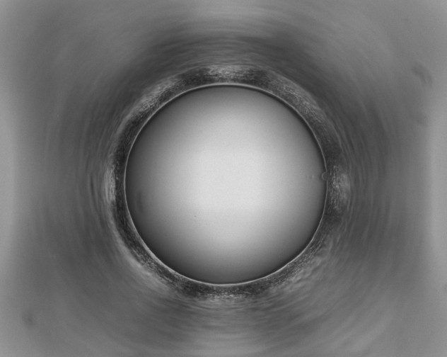 X0000112790734200908281506