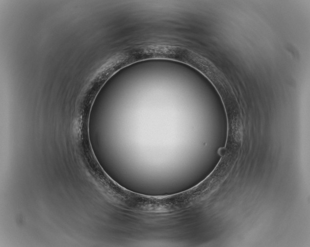 X0000112790735200908281506