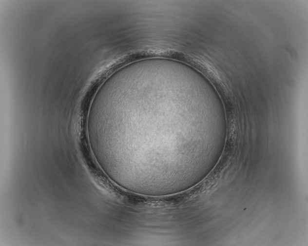 X0000112790736200908281506