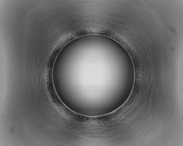 X0000112790738200908281506