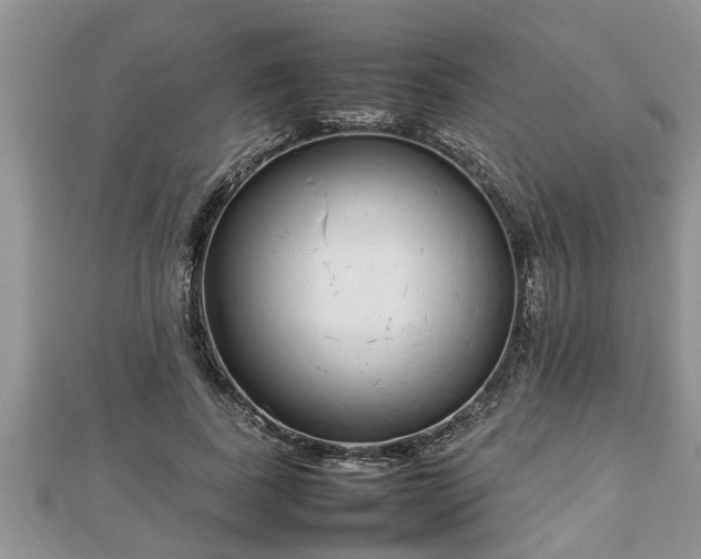 X0000112790739200908281506