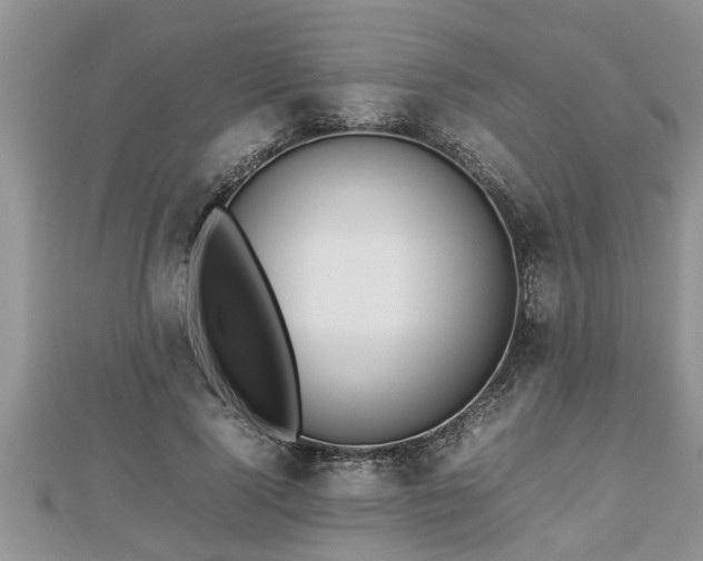 X0000112790740200908281506