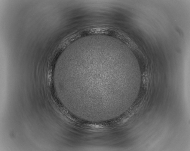 X0000112790741200908281506