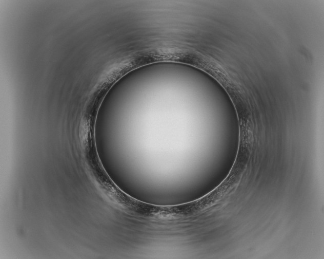 X0000112790742200908281506