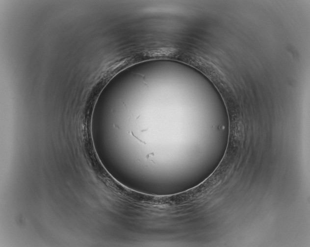 X0000112790743200908281506