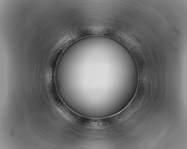 X0000112790744200908281506