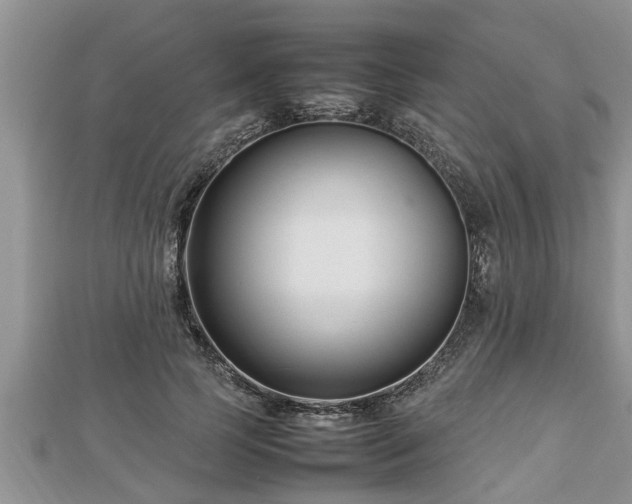 X0000112790745200908281506