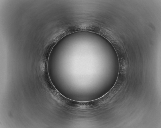 X0000112790746200908281506