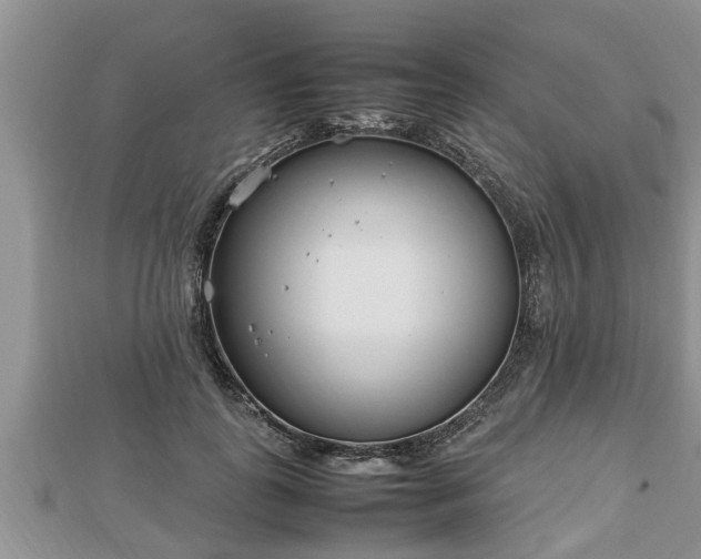 X0000112790747200908281506