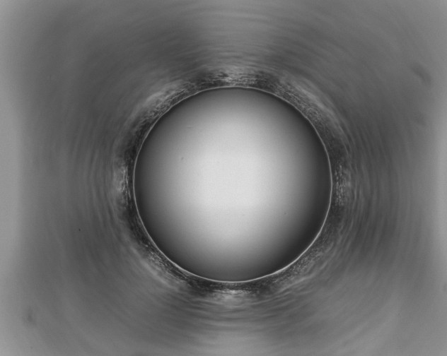 X0000112790748200908281506