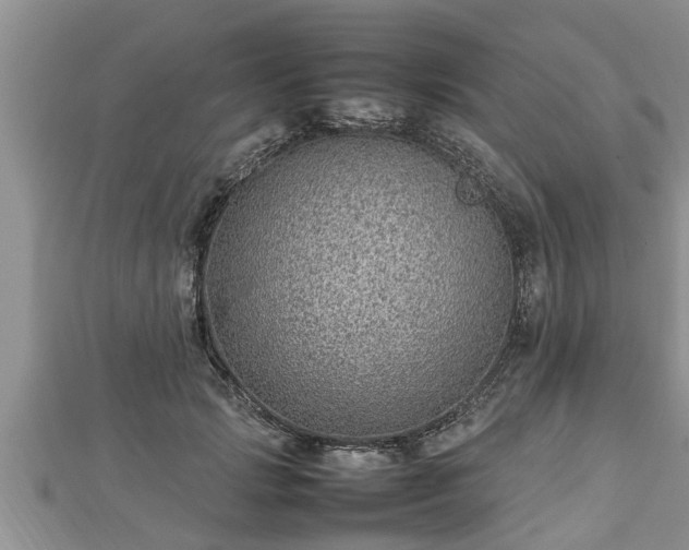 X0000112790749200908281506