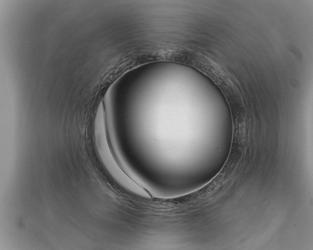 X0000112790750200908281506