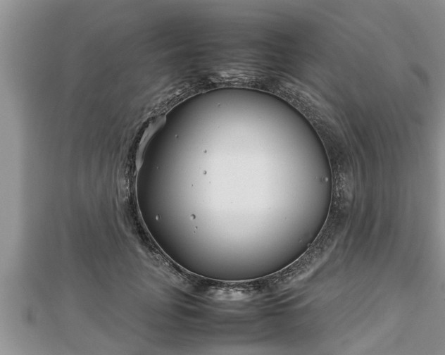 X0000112790751200908281506