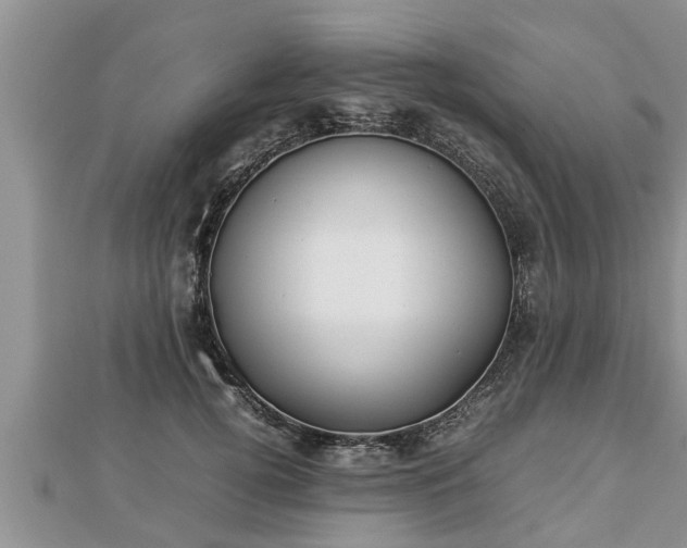 X0000112790752200908281506