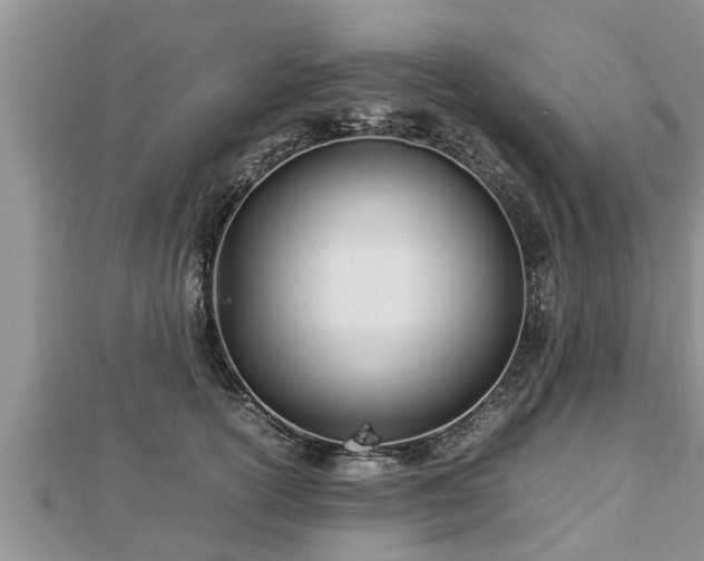 X0000112790754200908281506