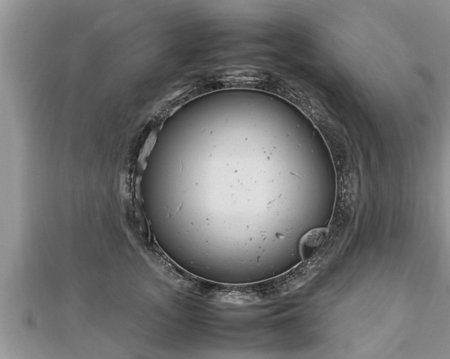 X0000112790755200908281506