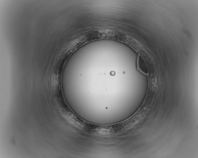 X0000112790756200908281506