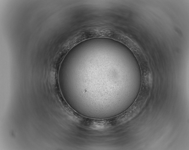 X0000112790757200908281506