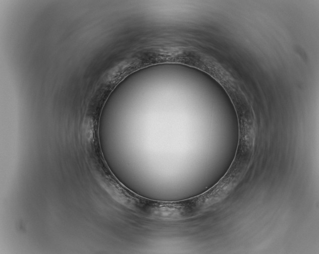 X0000112790758200908281506