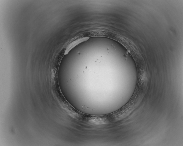 X0000112790759200908281506