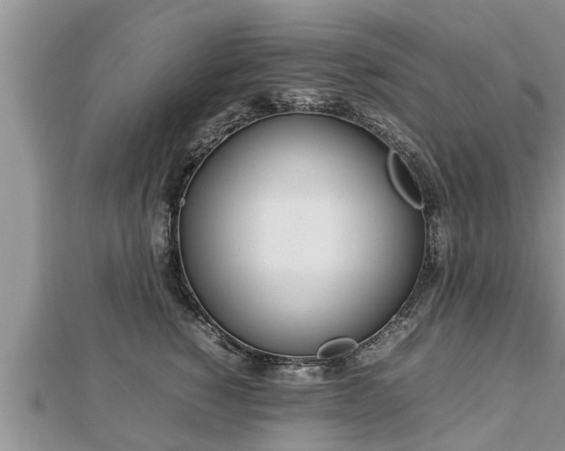 X0000112790760200908281506