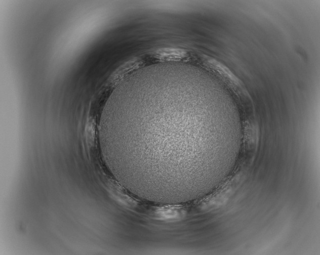 X0000112790761200908281506