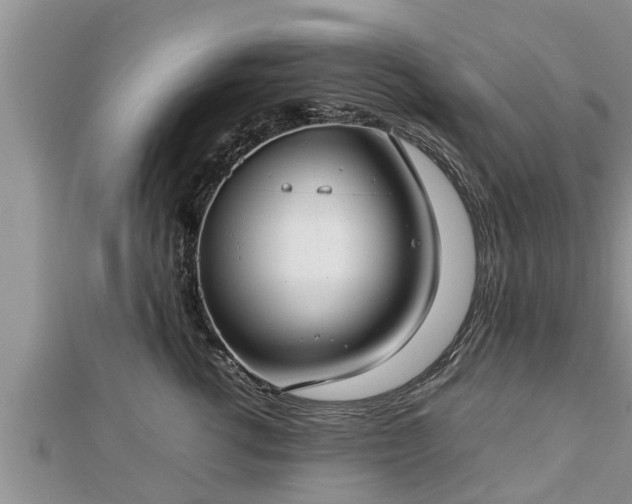 X0000112790762200908281506