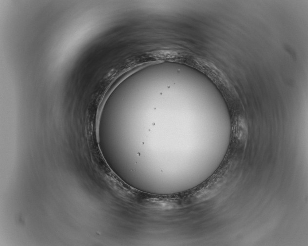 X0000112790763200908281506