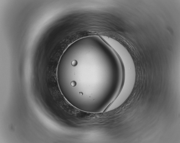 X0000112790764200908281506