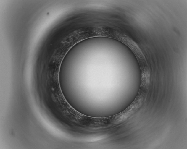 X0000112790765200908281506