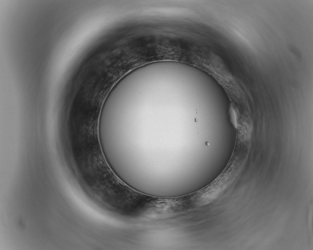 X0000112790766200908281506