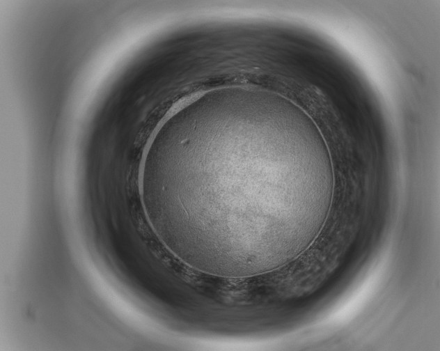 X0000112790767200908281506