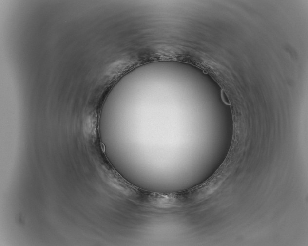 X0000112790768200908281506