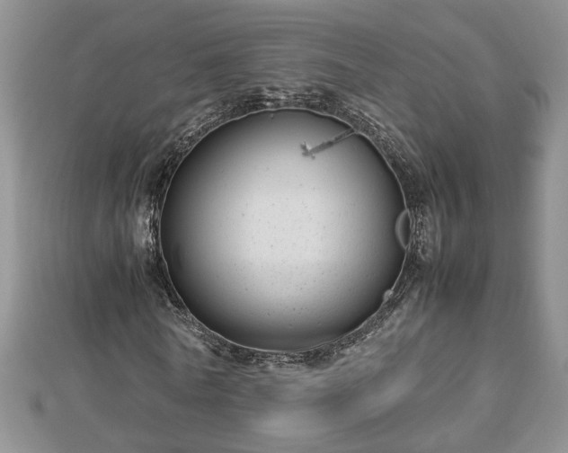 X0000112790770200908281506