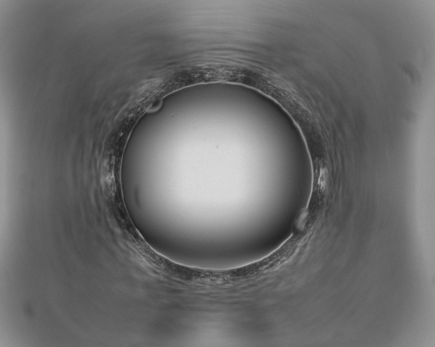 X0000112790771200908281506