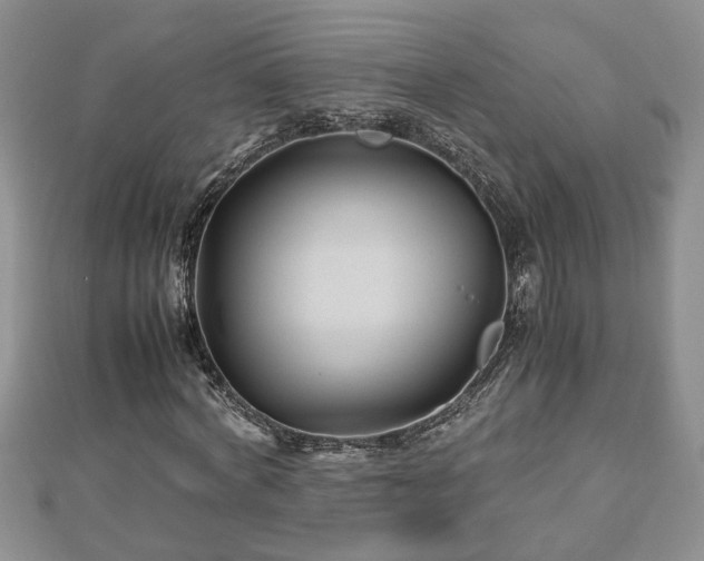 X0000112790772200908281506