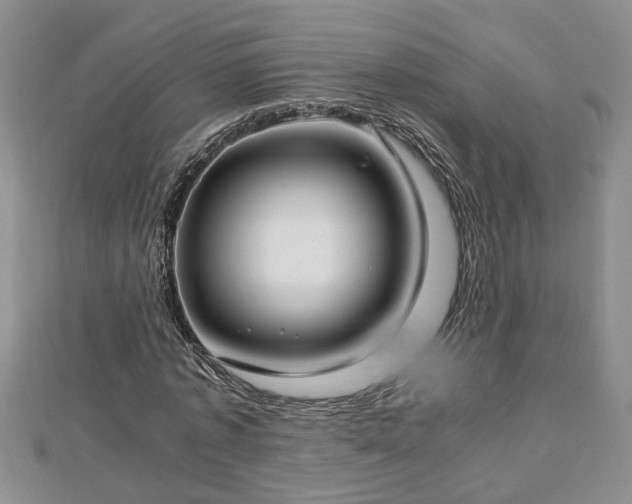 X0000112790773200908281506