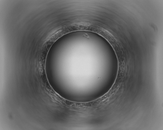 X0000112790774200908281506