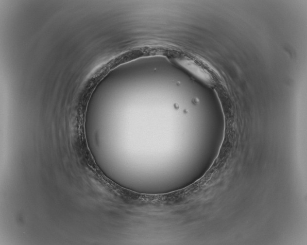 X0000112790775200908281506