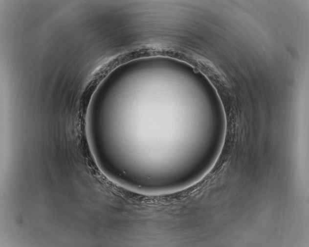 X0000112790776200908281506