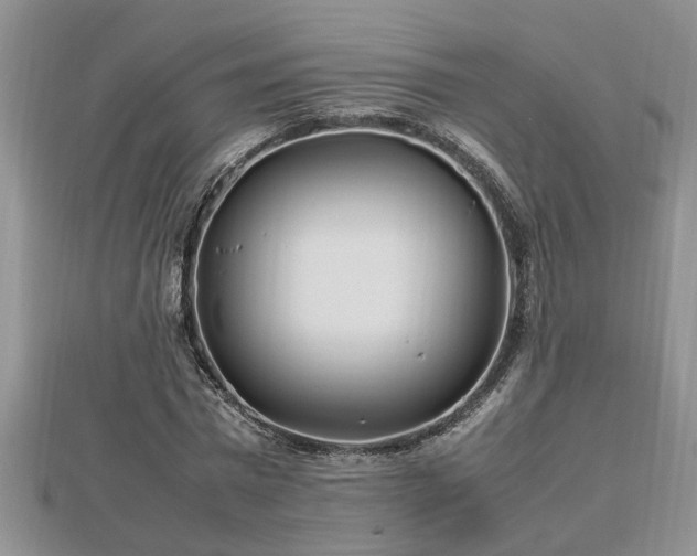 X0000112790777200908281506