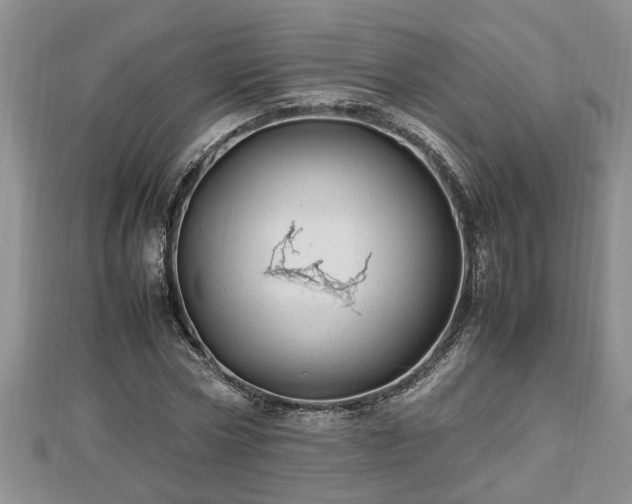 X0000112790778200908281506