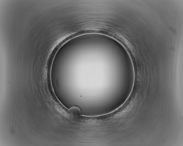 X0000112790779200908281506