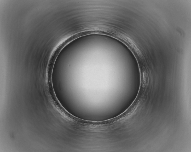 X0000112790780200908281506