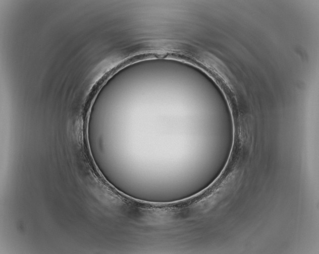 X0000112790781200908281506