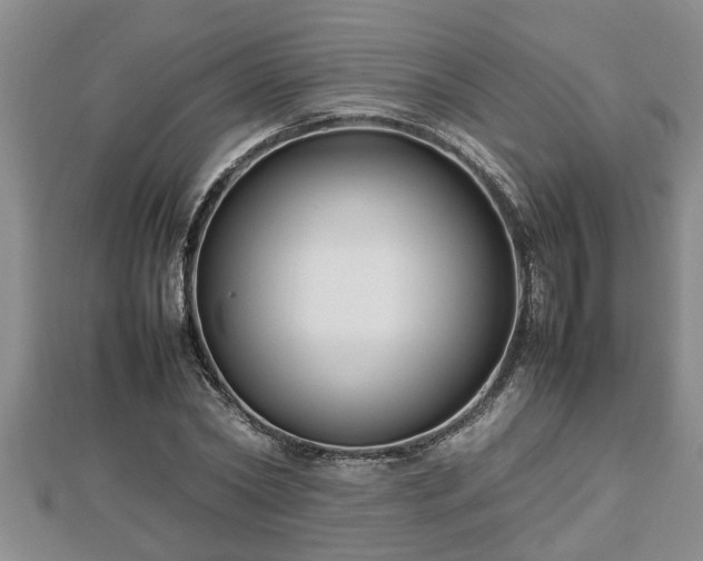 X0000112790782200908281506